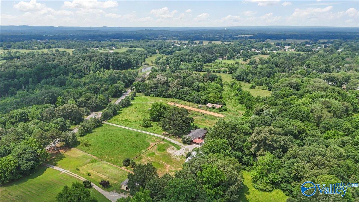 2515 Iron Man Road, Danville, Alabama image 41