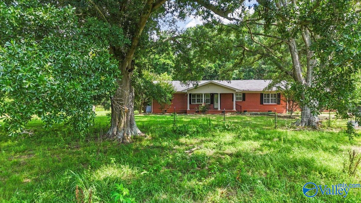 2515 Iron Man Road, Danville, Alabama image 37