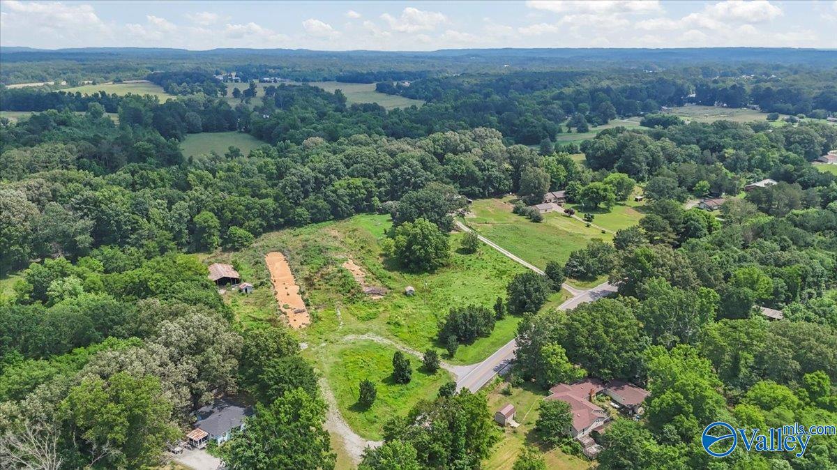 2515 Iron Man Road, Danville, Alabama image 43