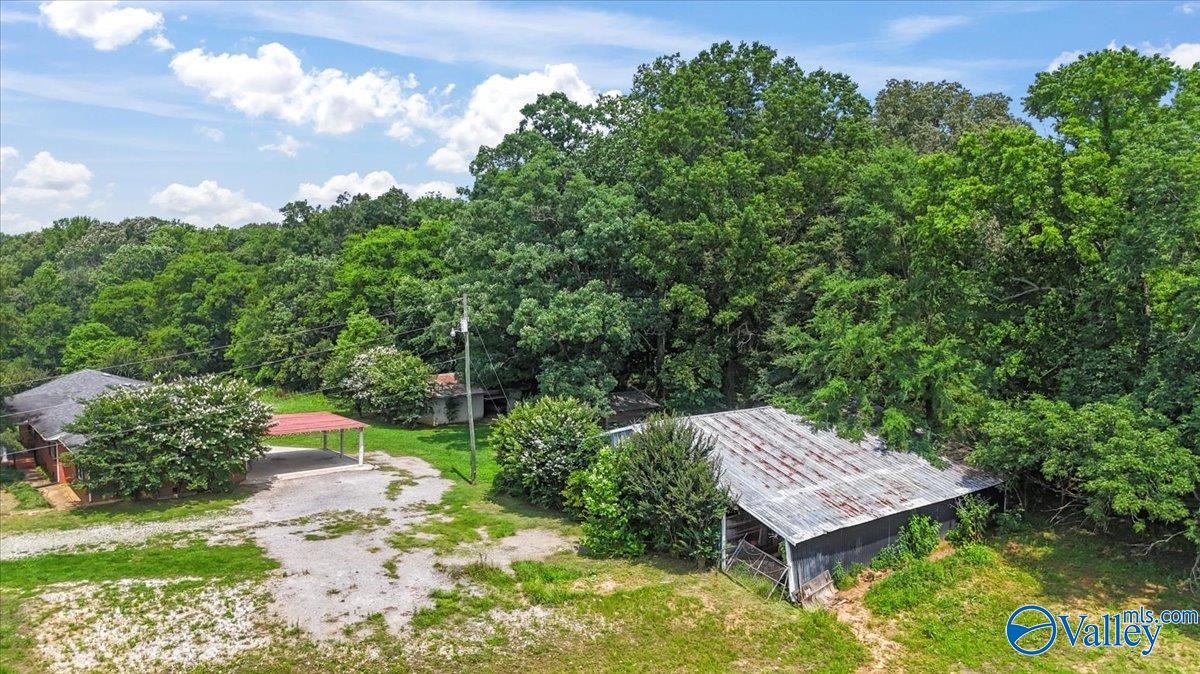 2515 Iron Man Road, Danville, Alabama image 46