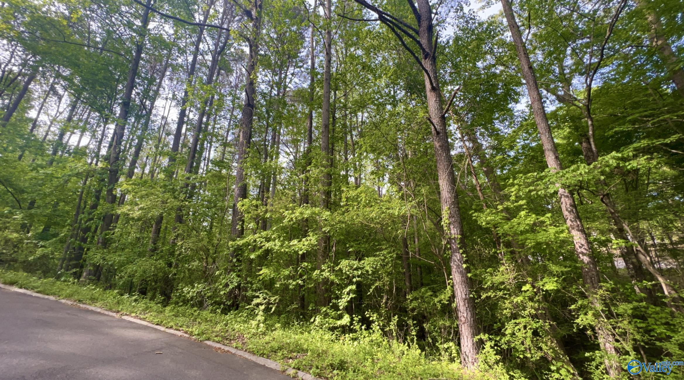 0.50 ACRES Pine Avenue, Haleyville, Alabama image 2