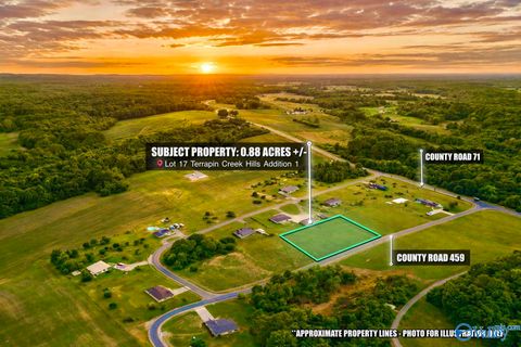 Vacant Land For Sale - LOT 17 County Road 459<br/> Cherokee County, Centre, AL 35960