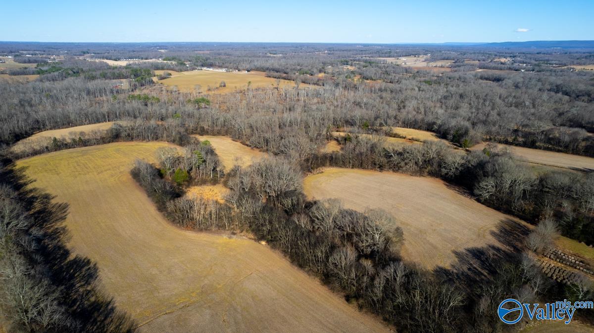 271+/- Acres Joe Quick Road, Hazel Green, Alabama image 29