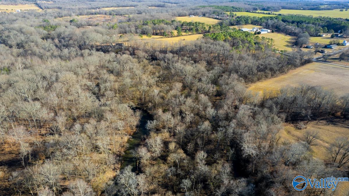 271+/- Acres Joe Quick Road, Hazel Green, Alabama image 34