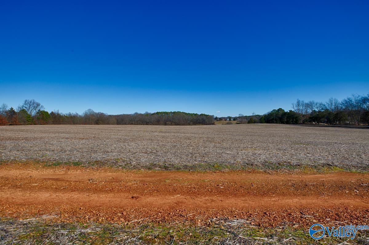 271+/- Acres Joe Quick Road, Hazel Green, Alabama image 4