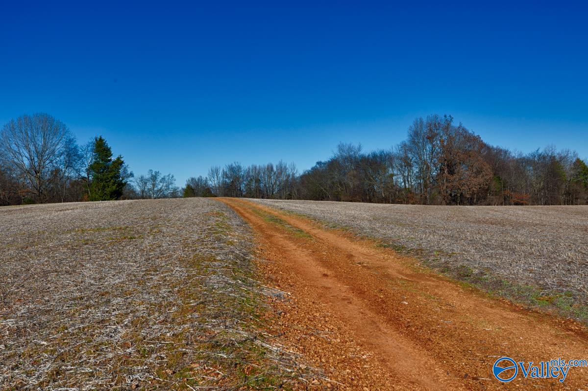 271+/- Acres Joe Quick Road, Hazel Green, Alabama image 3