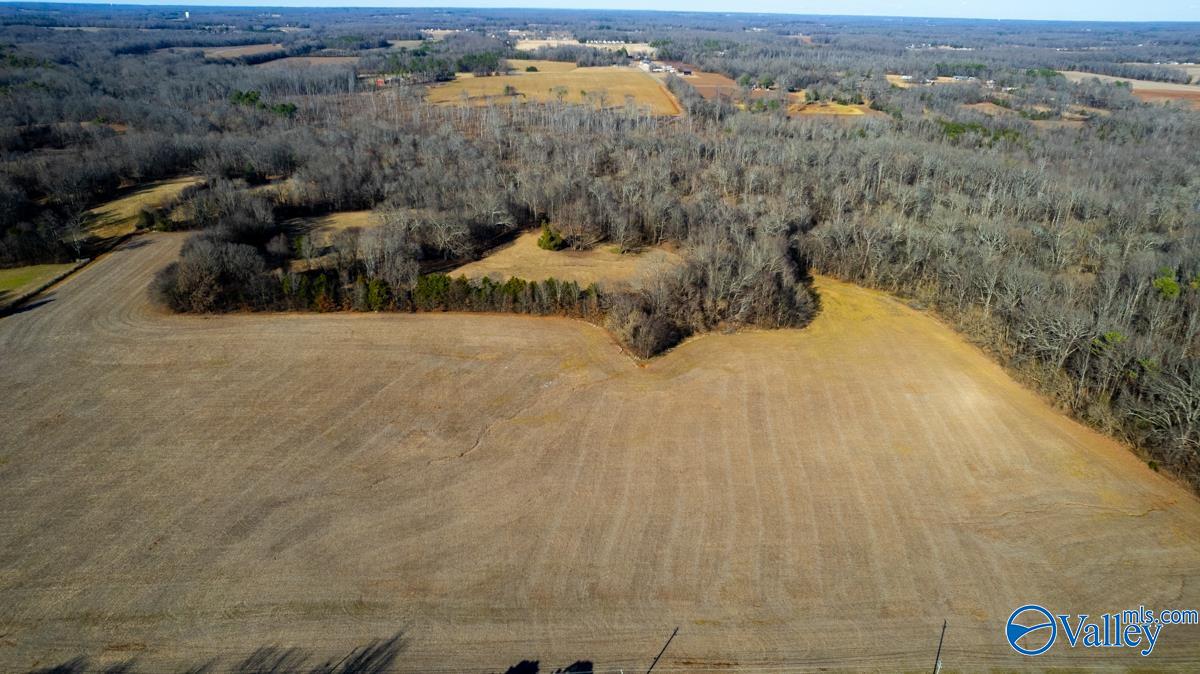 271+/- Acres Joe Quick Road, Hazel Green, Alabama image 38