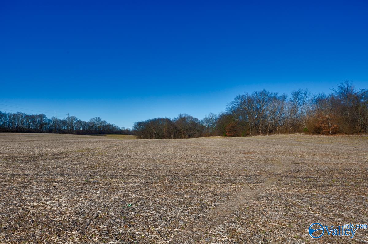 271+/- Acres Joe Quick Road, Hazel Green, Alabama image 24