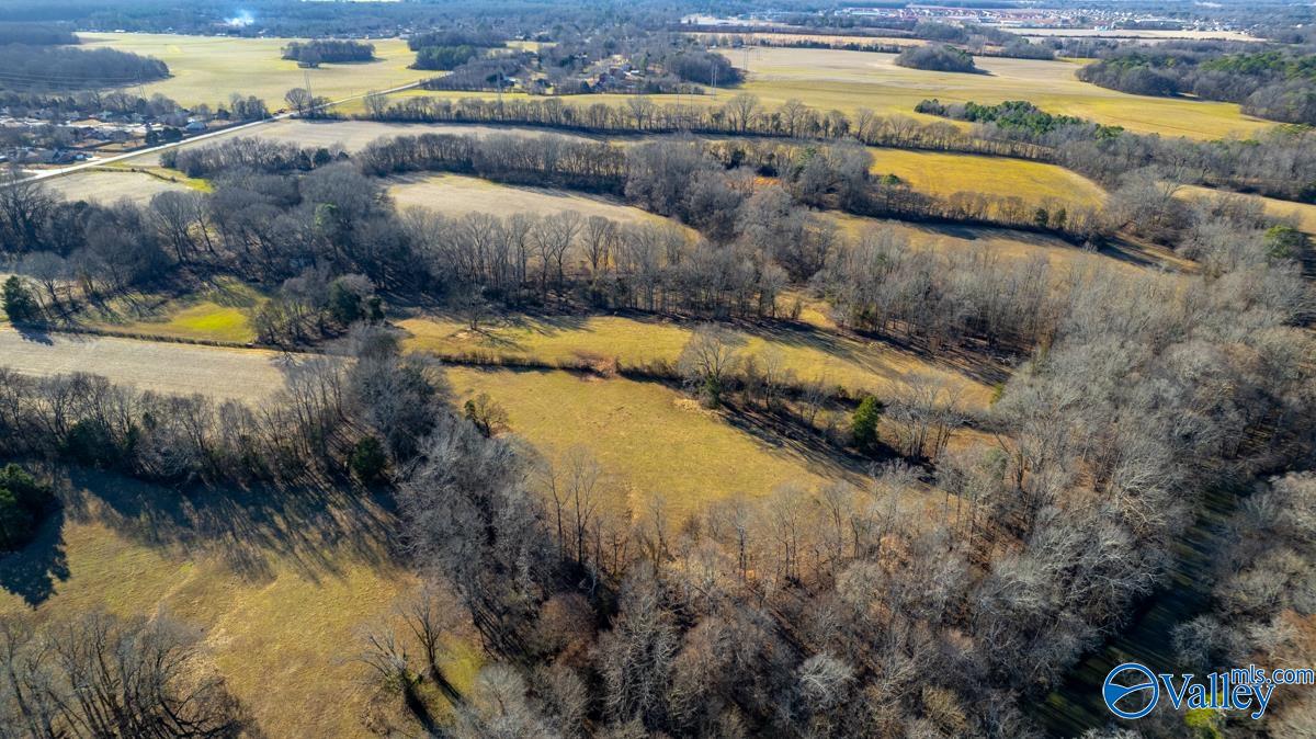 271+/- Acres Joe Quick Road, Hazel Green, Alabama image 35