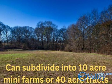 Vacant Land For Sale - 271+/- ACRES Joe Quick Road<br/> Hazel Green, AL 35750