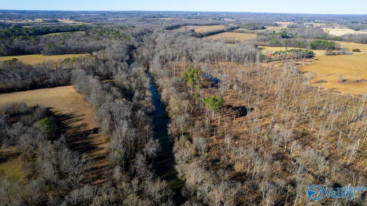 271+/- Acres Joe Quick Road, Hazel Green, Alabama image 32