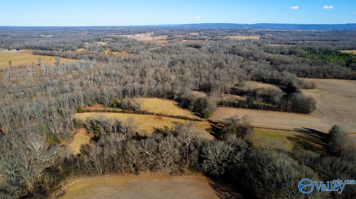 271+/- Acres Joe Quick Road, Hazel Green, Alabama image 30