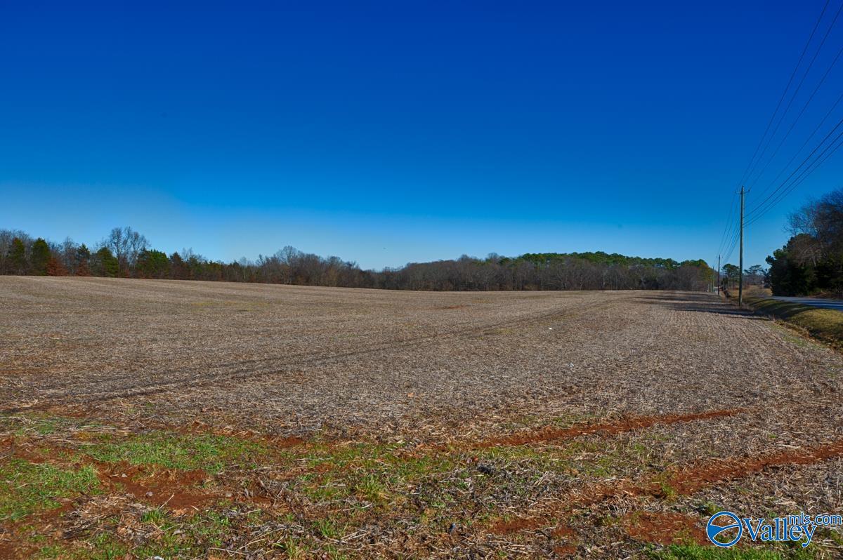 271+/- Acres Joe Quick Road, Hazel Green, Alabama image 2