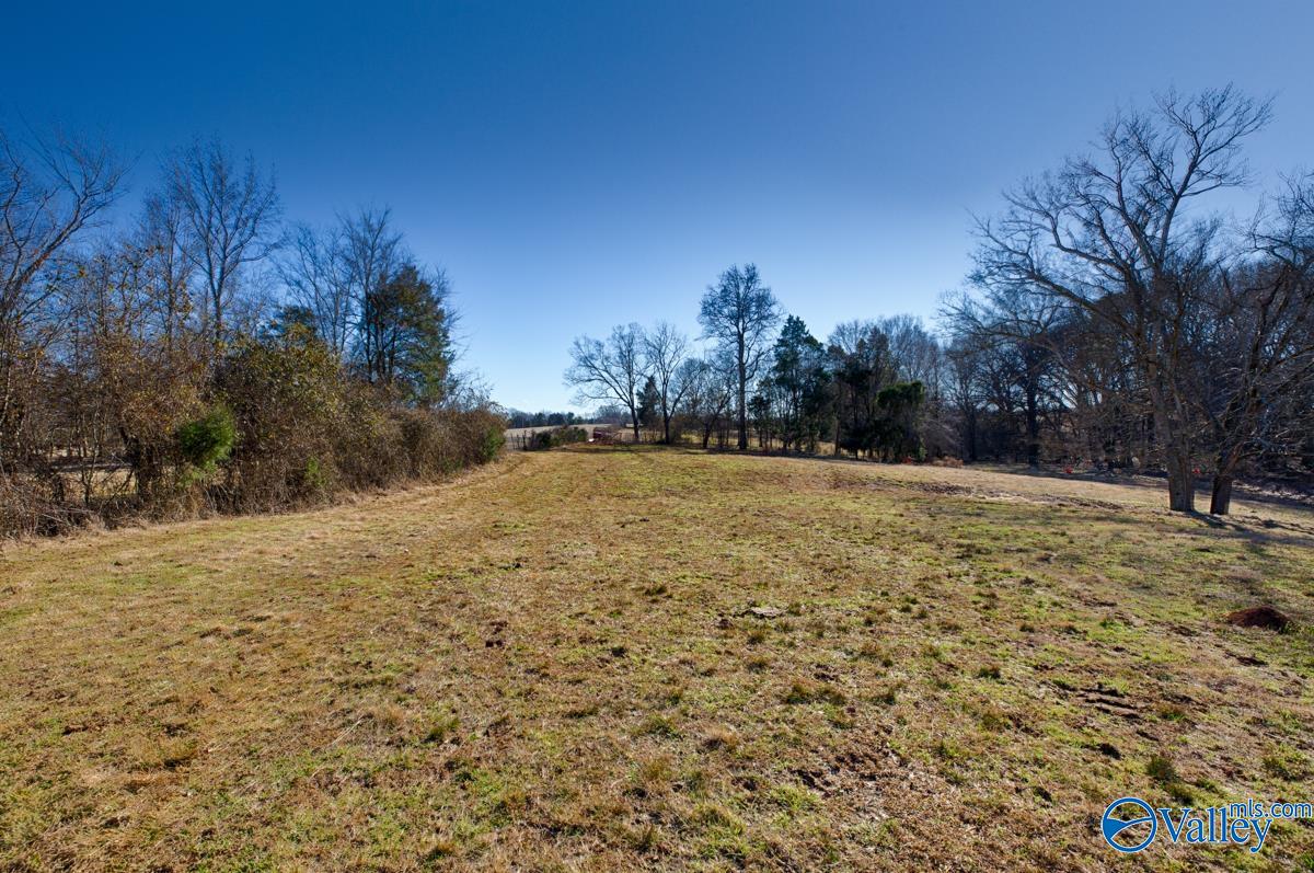 271+/- Acres Joe Quick Road, Hazel Green, Alabama image 11