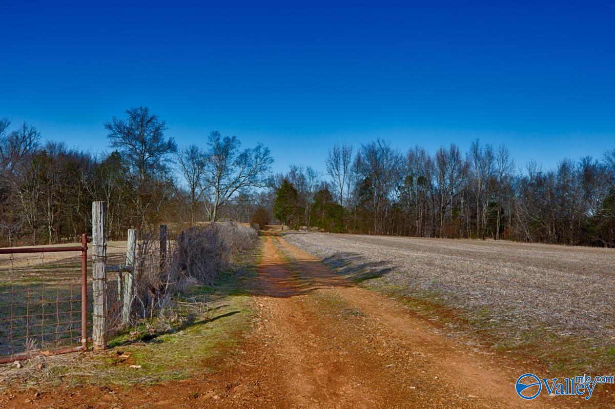 271+/- Acres Joe Quick Road, Hazel Green, Alabama image 6