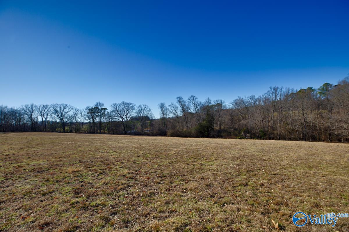 271+/- Acres Joe Quick Road, Hazel Green, Alabama image 22