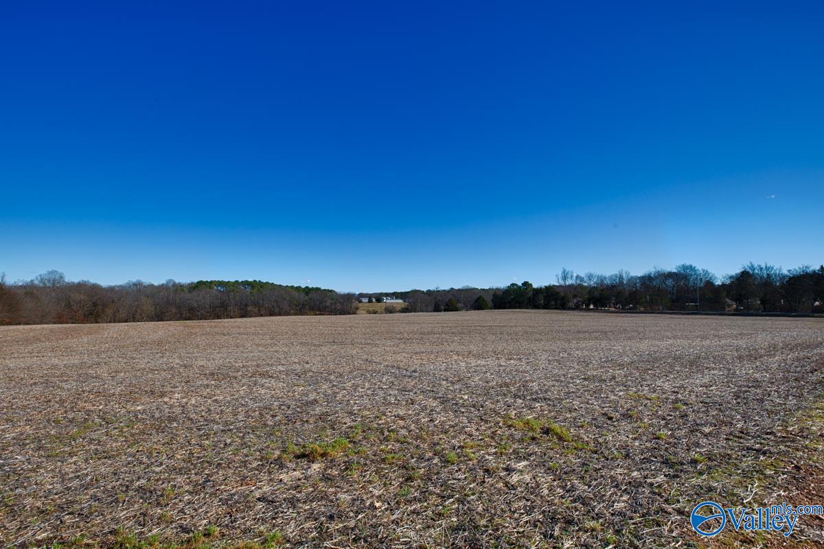 271+/- Acres Joe Quick Road, Hazel Green, Alabama image 5