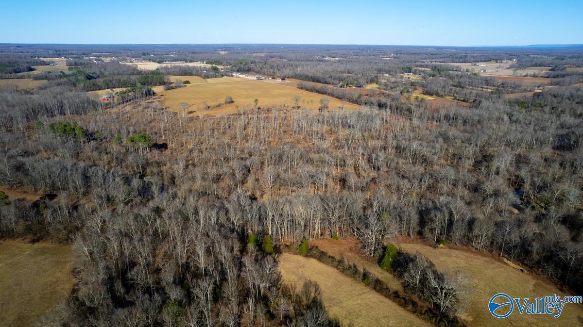 271+/- Acres Joe Quick Road, Hazel Green, Alabama image 31