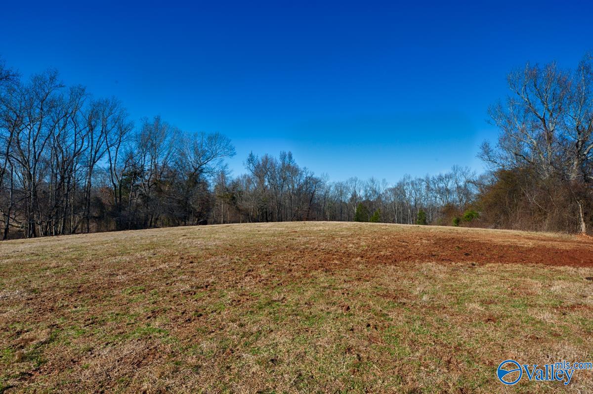 271+/- Acres Joe Quick Road, Hazel Green, Alabama image 12