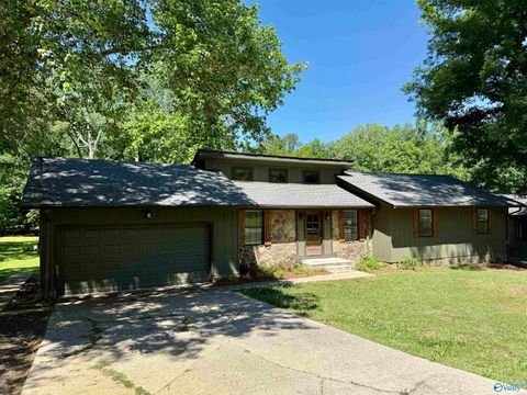 Photo of 208 Seville Lane, Rainbow City, AL 35906 (MLS # 21917016)