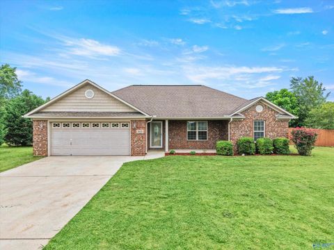 Homes For Sale - 3635 Elkwood Section Road<br/> Toney, AL 35773