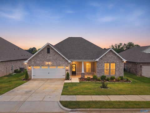 Homes For Sale - 15895 Big Ben Drive<br/> Harvest, AL 35749
