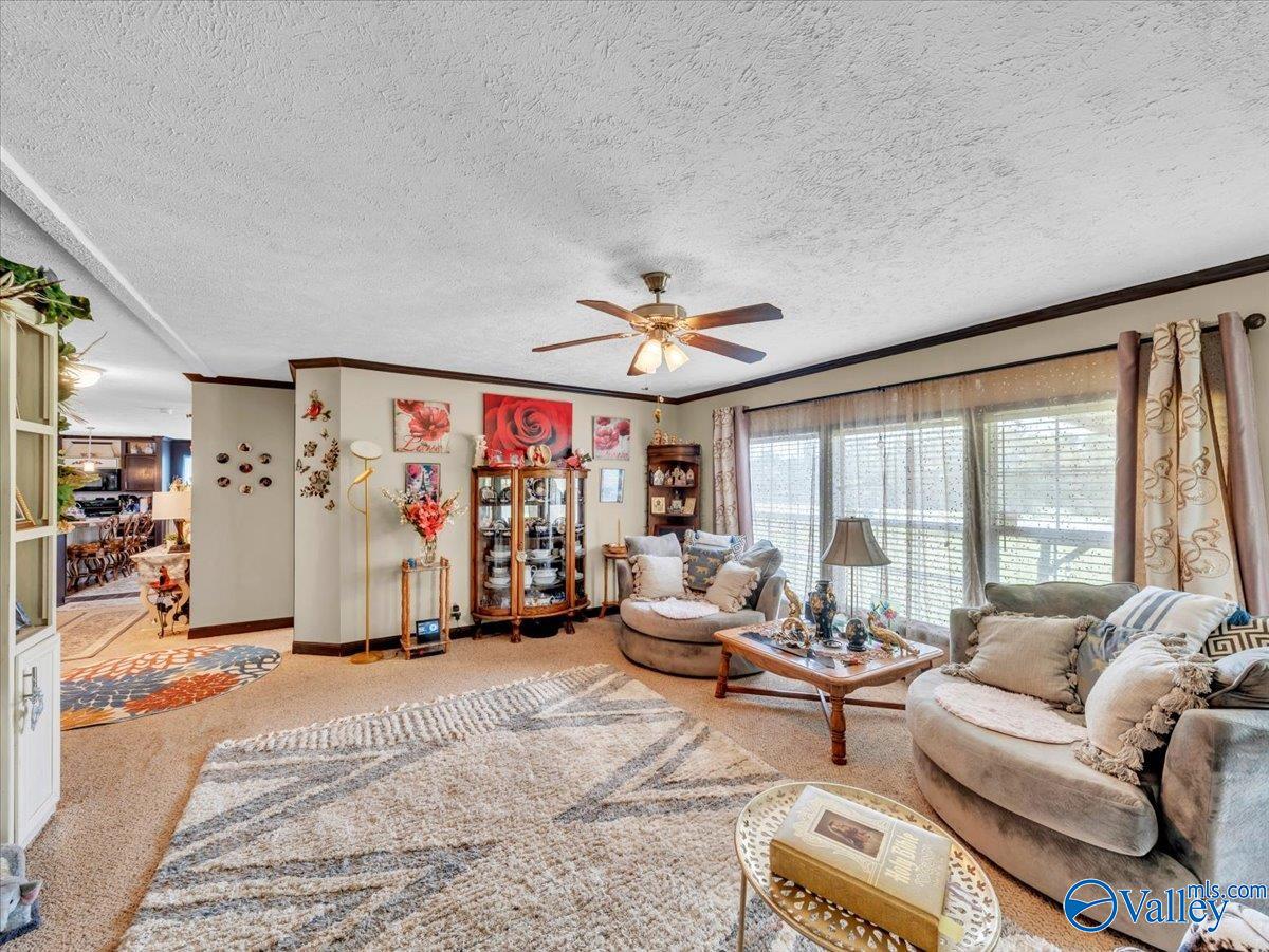 845 County Road 1728
