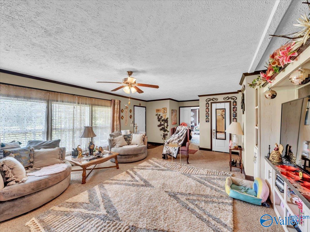845 County Road 1728