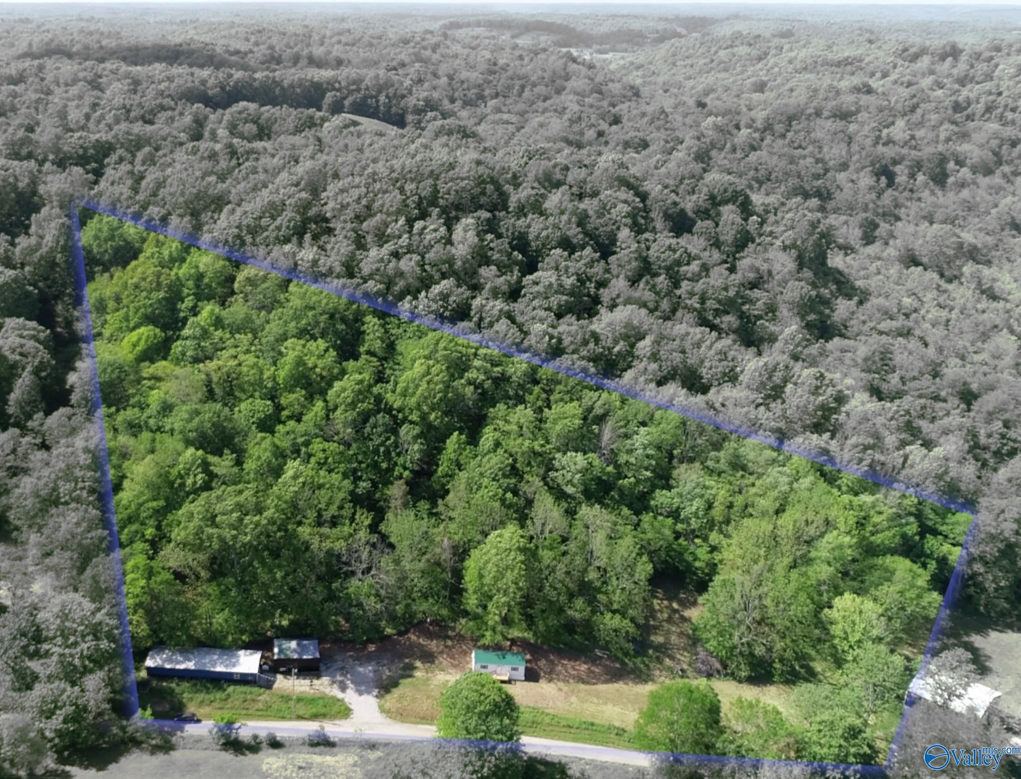 140 Ben Johnson Road, Pulaski, Tennessee image 1