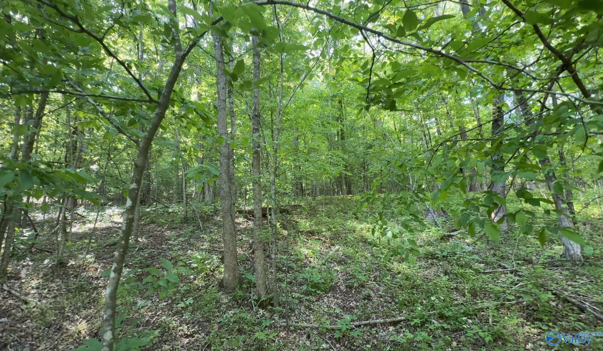 140 Ben Johnson Road, Pulaski, Tennessee image 5