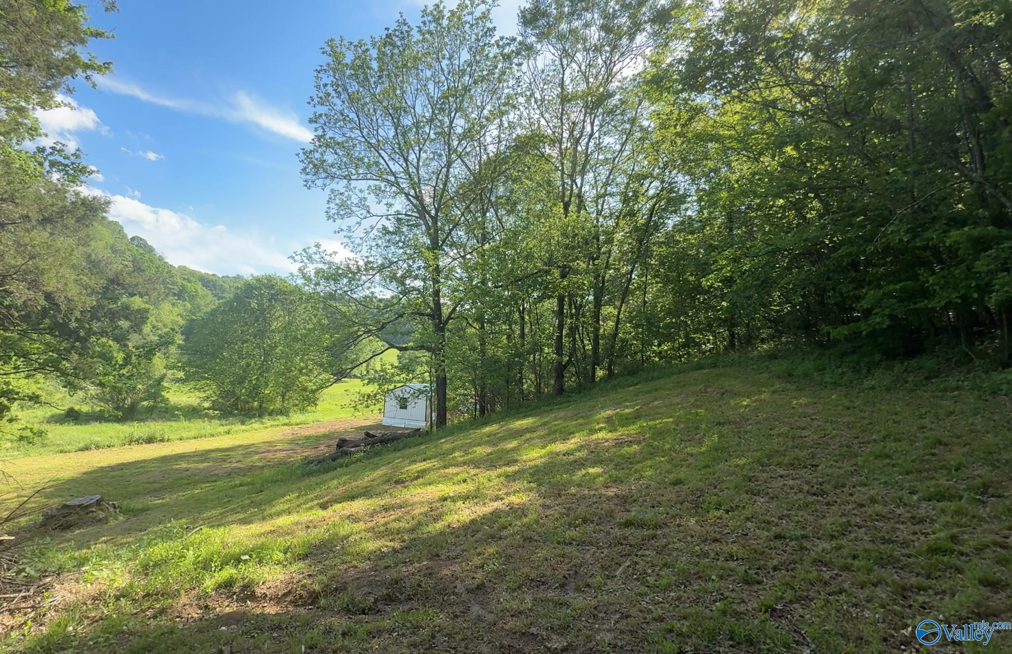 140 Ben Johnson Road, Pulaski, Tennessee image 43