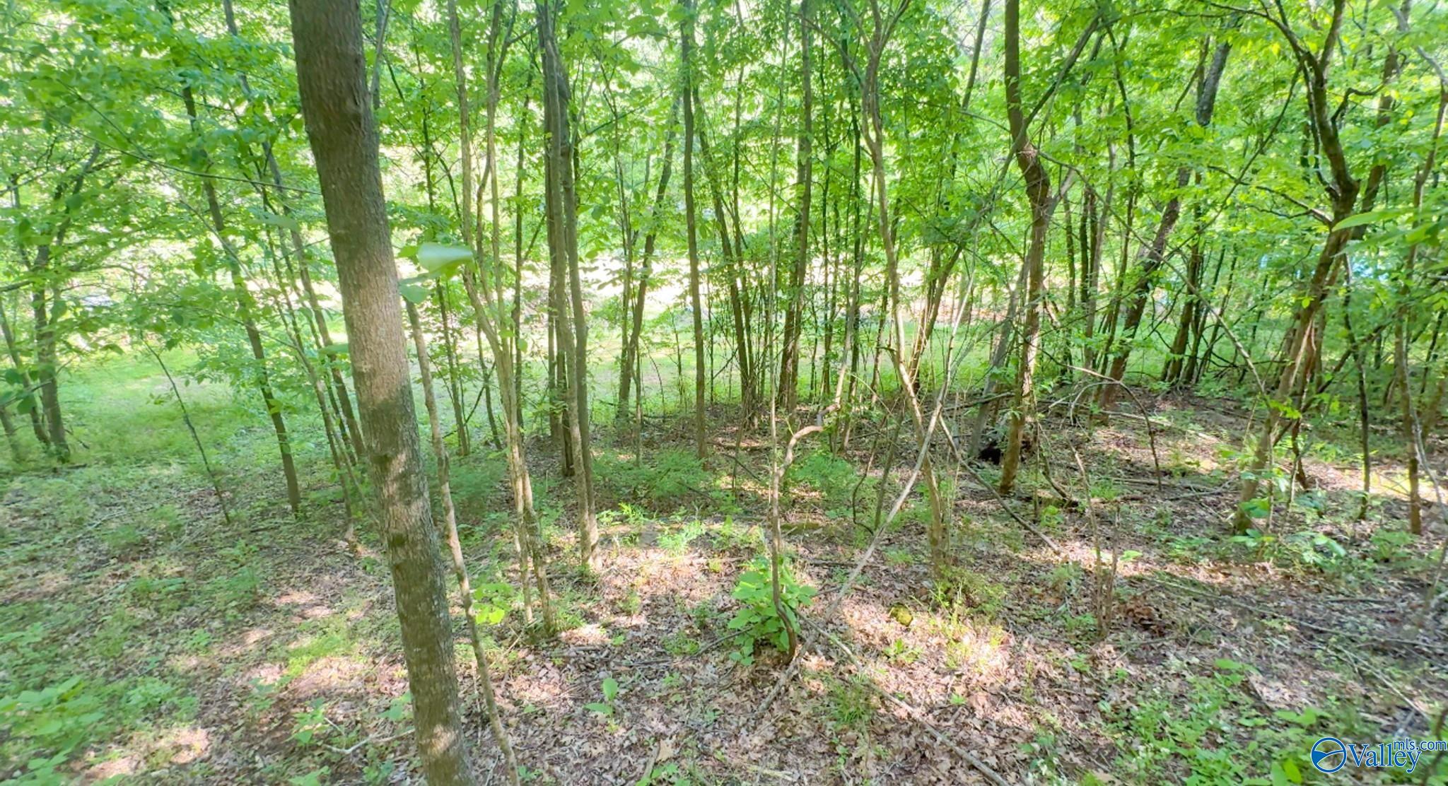 140 Ben Johnson Road, Pulaski, Tennessee image 6