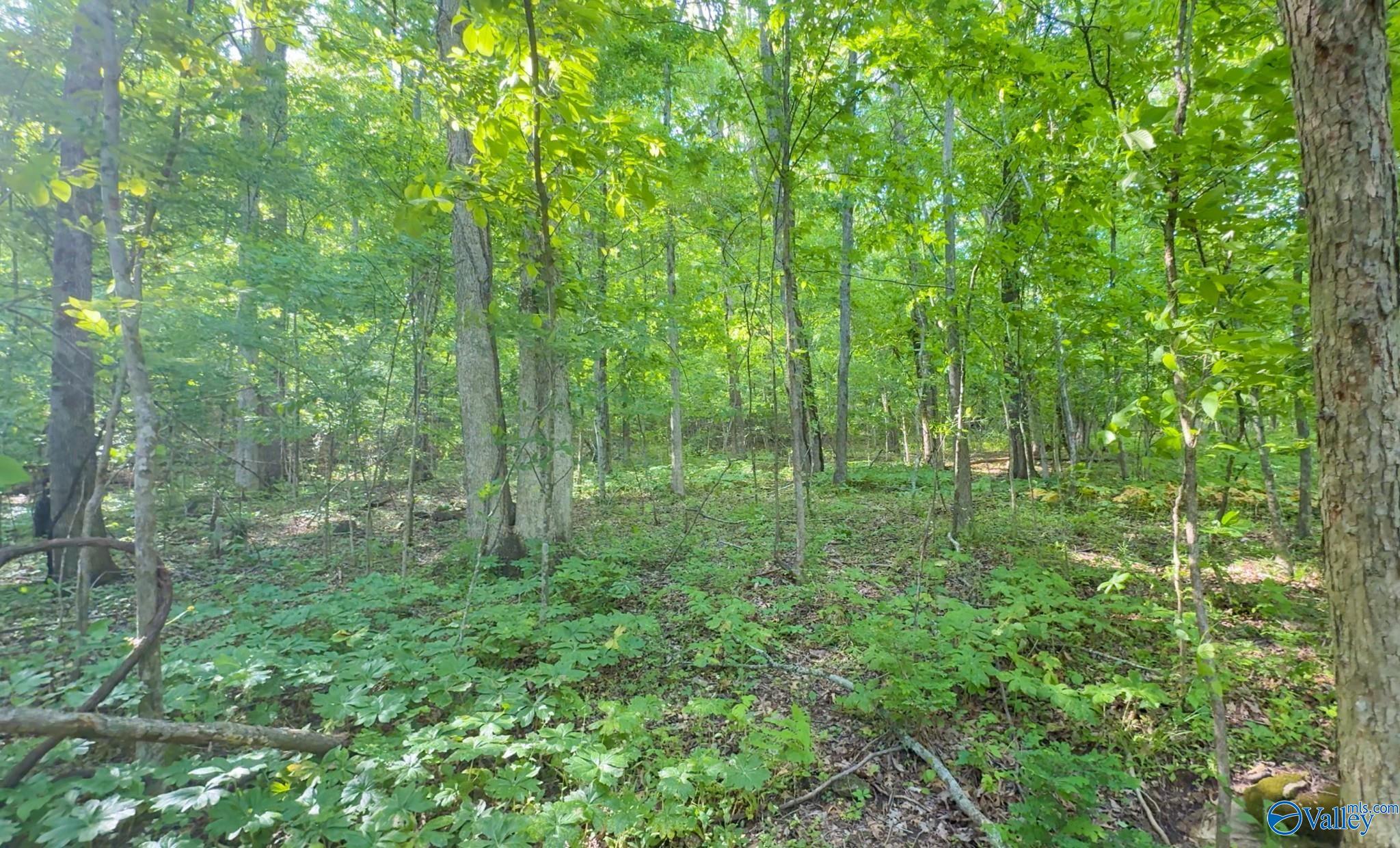 140 Ben Johnson Road, Pulaski, Tennessee image 4