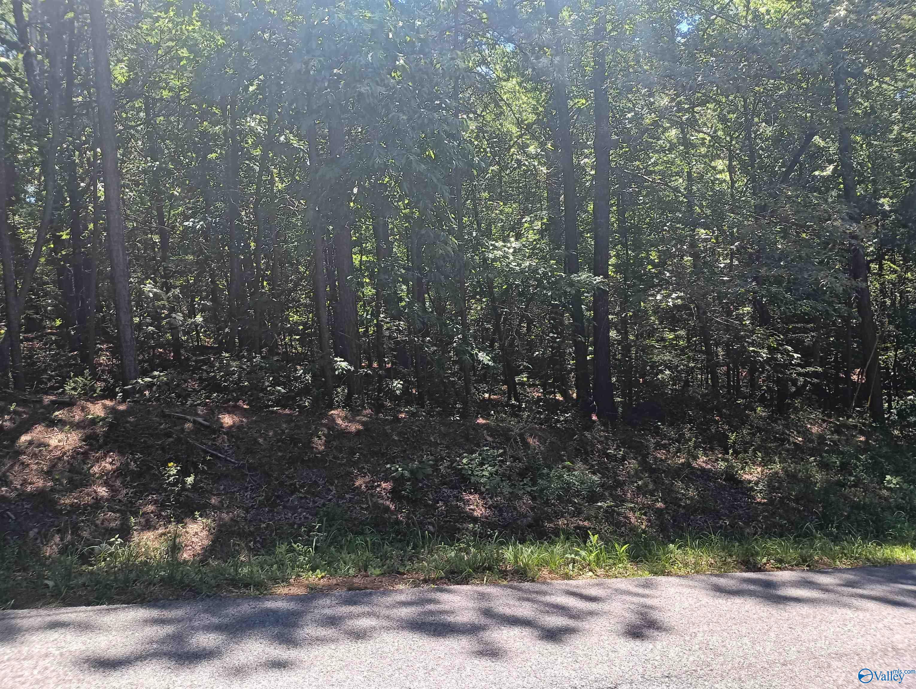 5631 River Oak Drive, Southside, Alabama image 1
