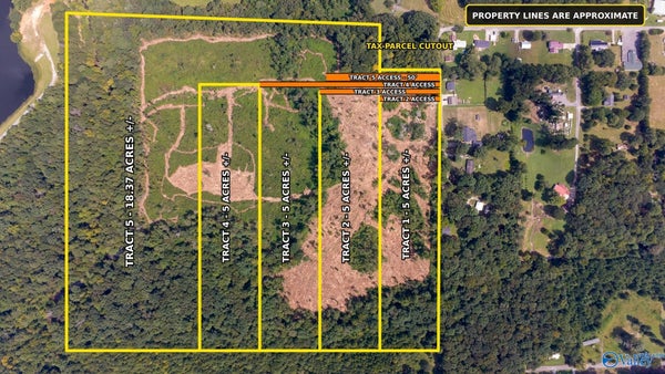 65 COUNTY RD 519, MOULTON, AL 35650 - Image 18921e882a7a3f28d07da6ae77fc9975/556165050