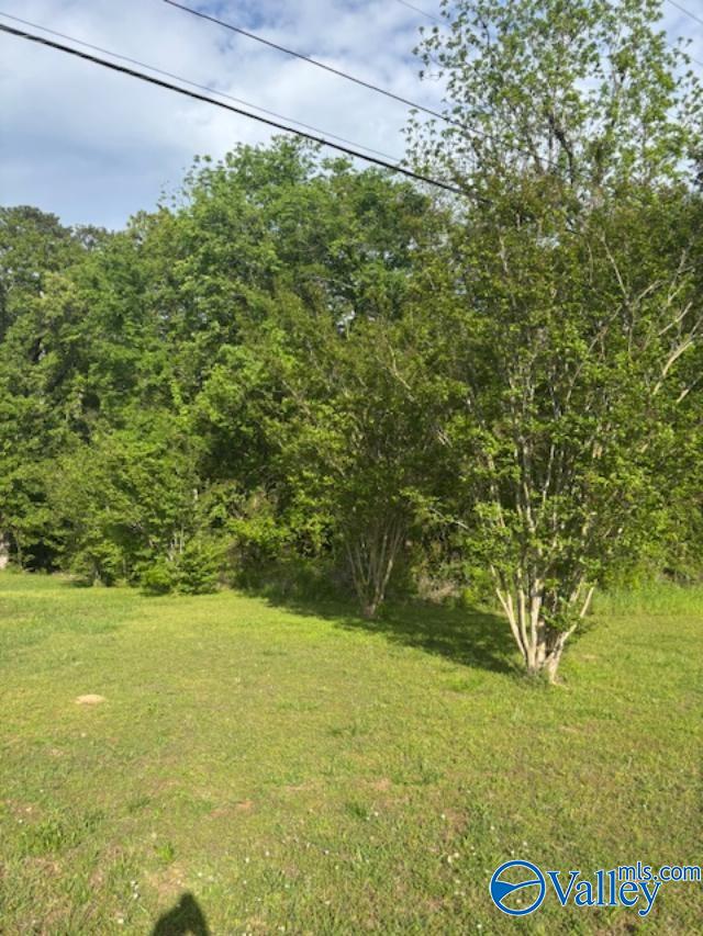 SEC 36 Cain Road, Somerville, Alabama image 7