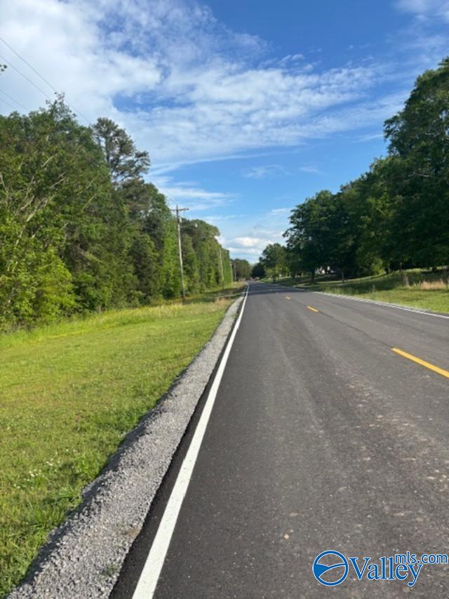 SEC 36 Cain Road, Somerville, Alabama image 4