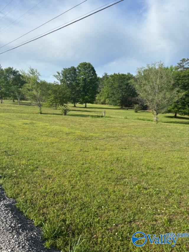 SEC 36 Cain Road, Somerville, Alabama image 5