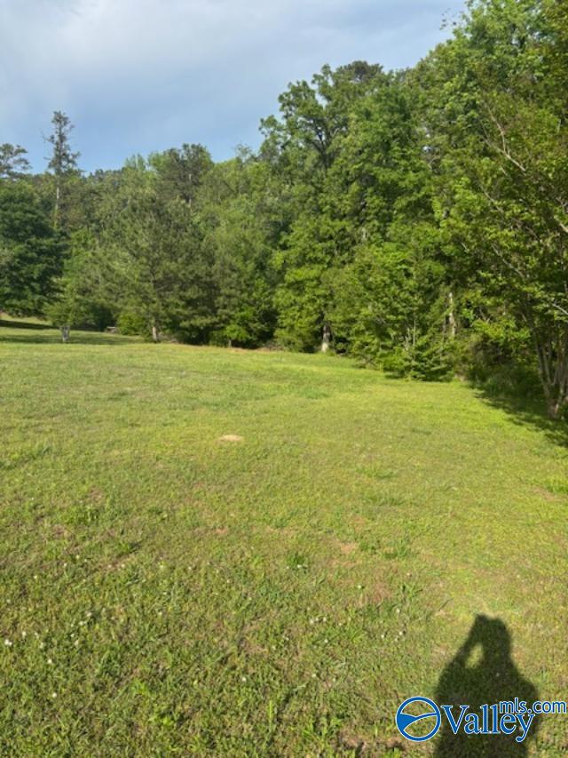 SEC 36 Cain Road, Somerville, Alabama image 6