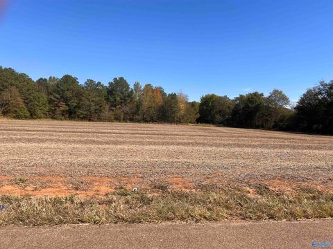 Vacant Land For Sale - 3787 County Line Road<br/> Madison County, Madison, AL 35758
