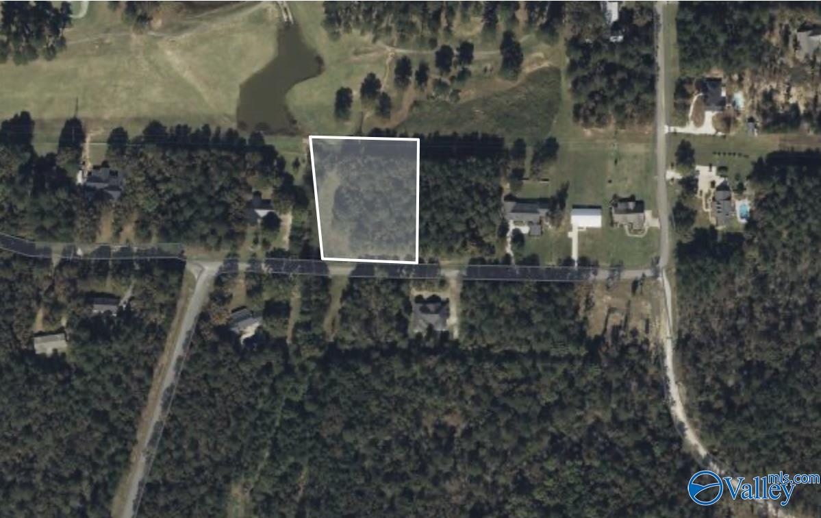 Lot 30/31 County Road 380, Centre, Alabama image 3