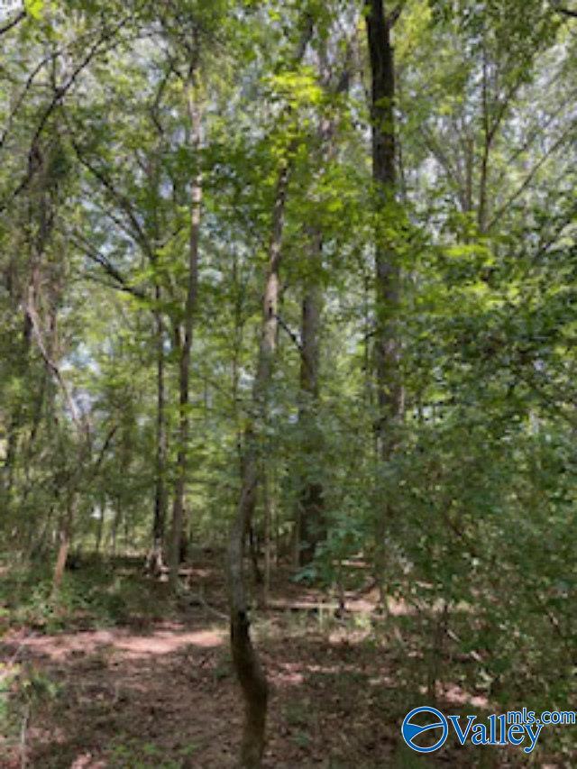 5.9 Acres Joe Quick Road, New Market, Alabama image 11