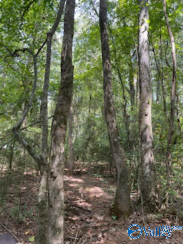 5.9 Acres Joe Quick Road, New Market, Alabama image 5