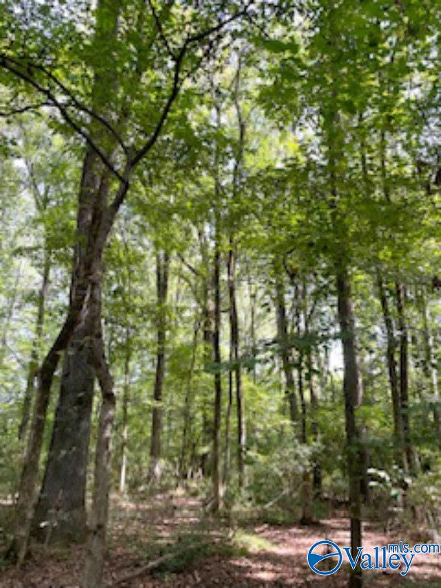 5.9 Acres Joe Quick Road, New Market, Alabama image 8