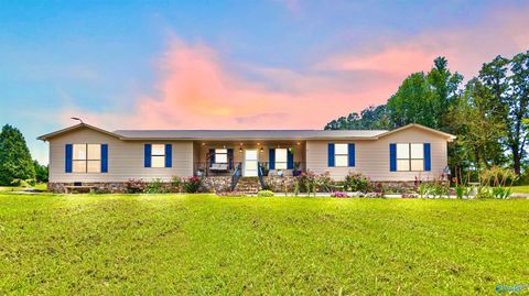 Photo of 8500 Simpson Point Road, Grant, AL 35747 (MLS # 21914093)