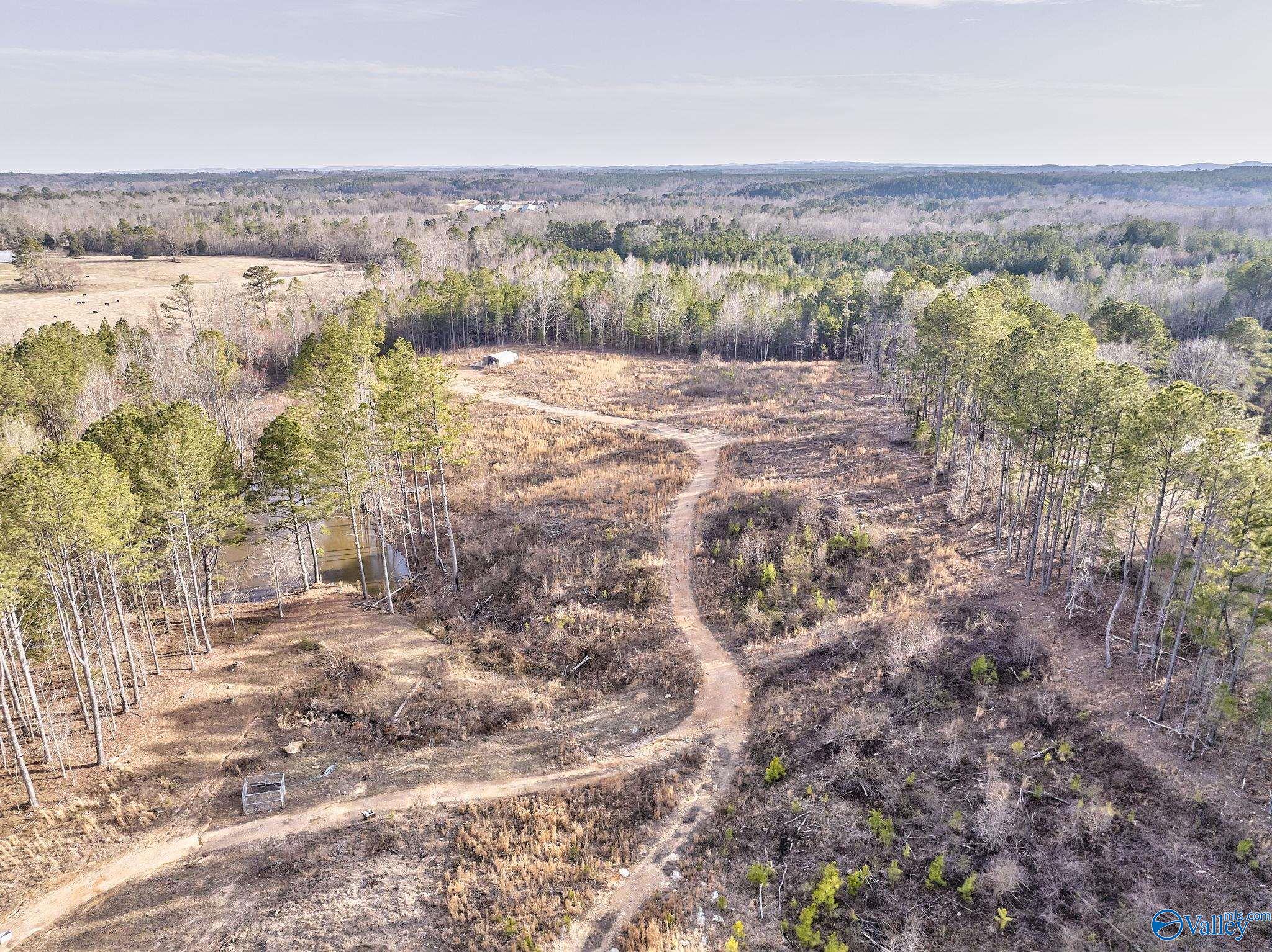 2395 County Road 91, Fruithurst, Alabama image 45