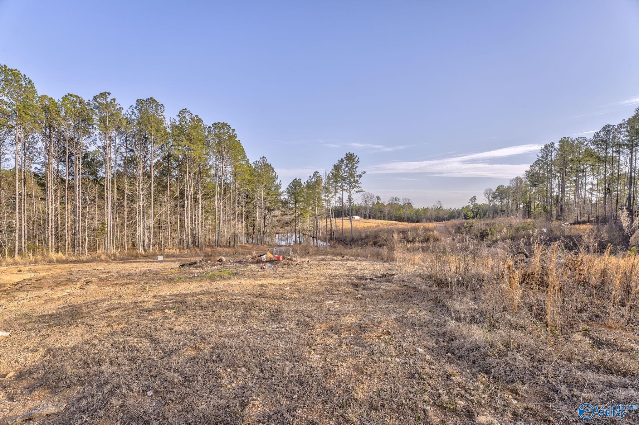 2395 County Road 91, Fruithurst, Alabama image 34