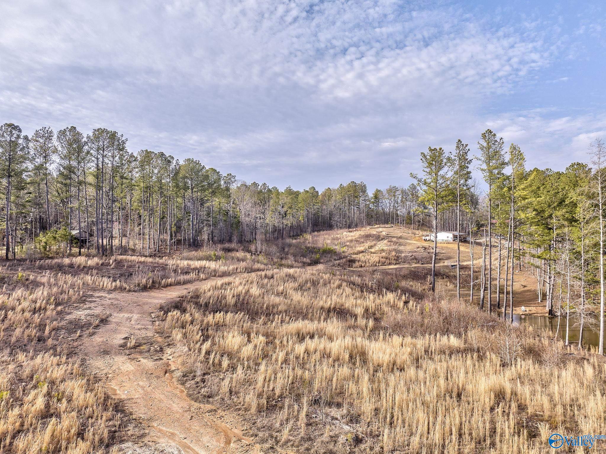 2395 County Road 91, Fruithurst, Alabama image 40