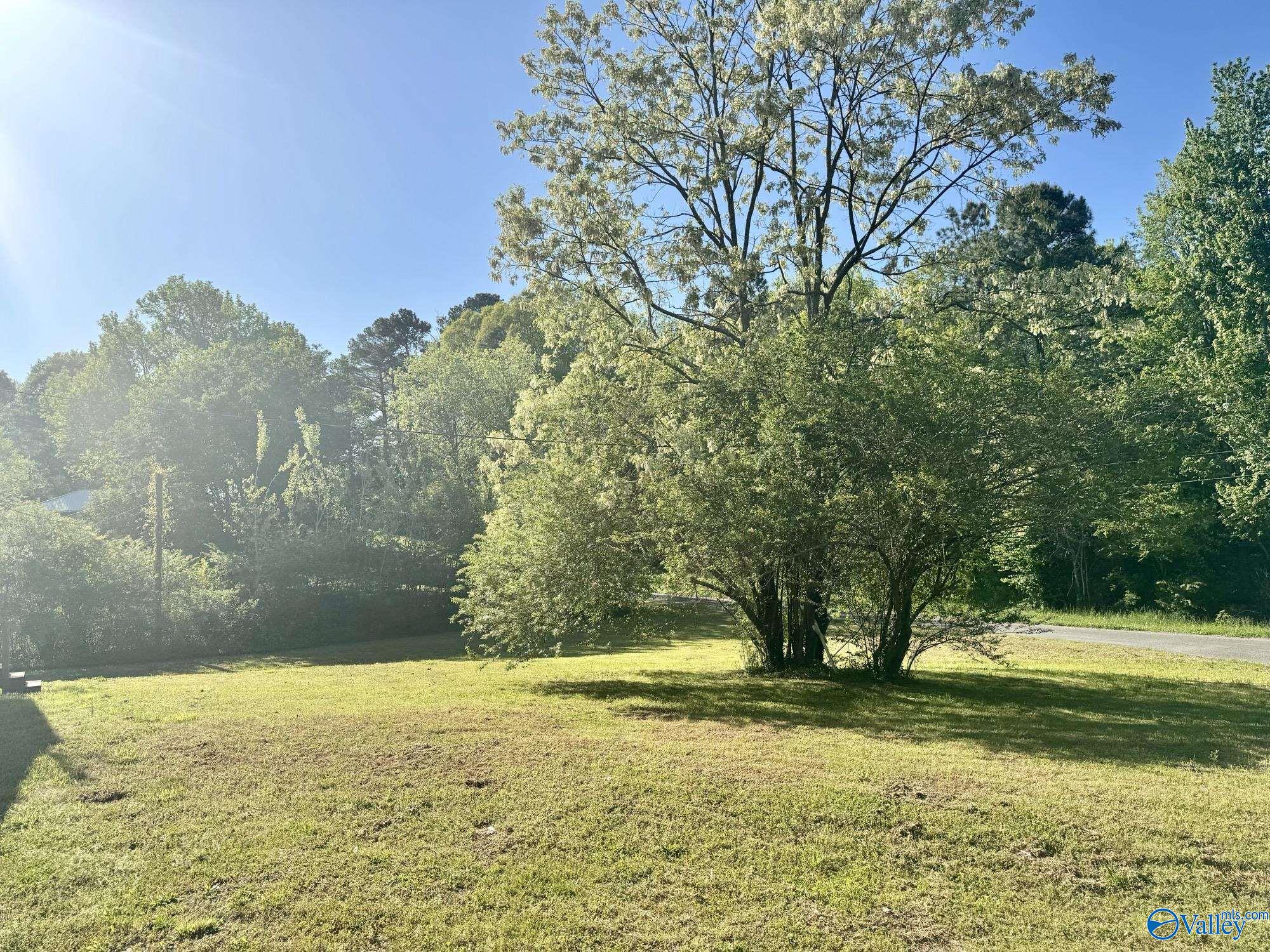 291 Hall Circle, Guntersville, Alabama image 13