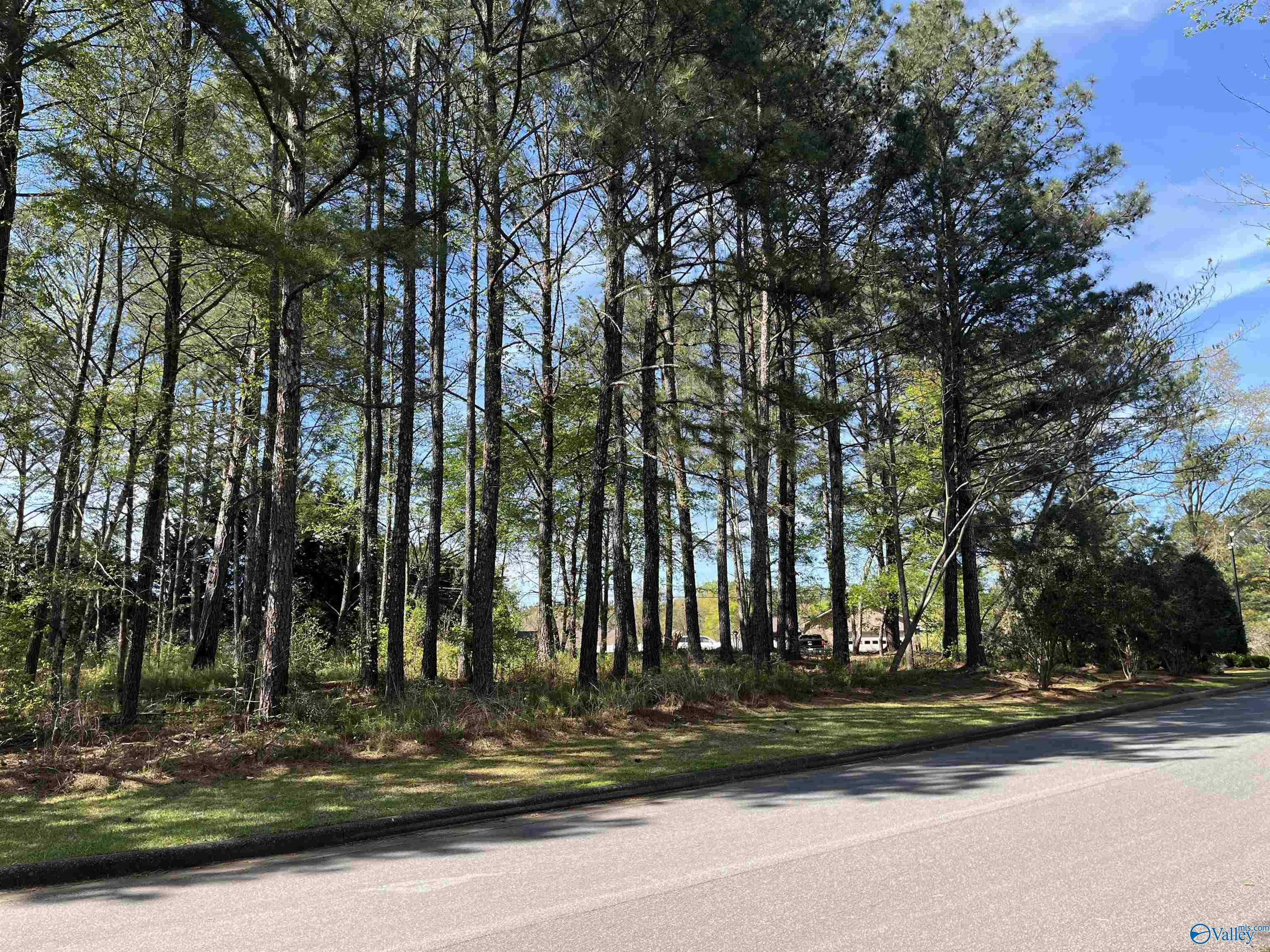 LOT 1 Beech Ridge, Gadsden, Alabama image 8